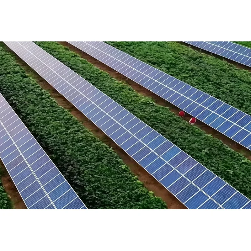 Como um suporte de montagem solar suporta uma instalação solar confiável?